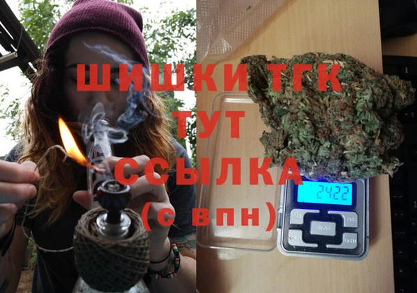 тгк Алексин