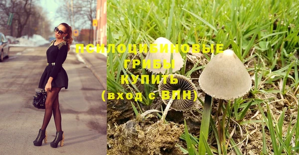 тгк Алексин