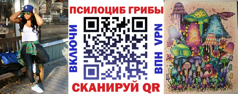 Галлюциногенные грибы прущие грибы что такое omg ССЫЛКА Кочубеевское